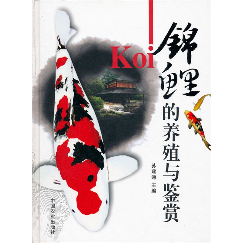 锦鲤的养殖与鉴赏 锦鲤的繁殖选育锦鲤常见病防治对策观赏鱼养殖技术大全锦鲤养殖实用技法农业锦鲤养殖技术书籍