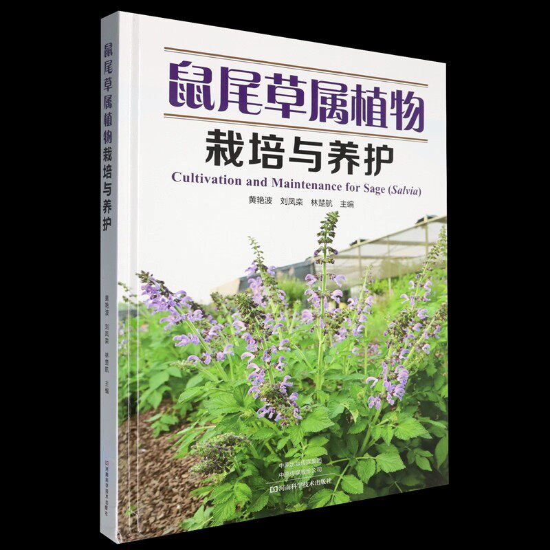 鼠尾草属植物栽培与养护 黄艳波 刘凤栾 林楚航 鼠尾草属植物的生物学特征和引种栽培养护技术规程书籍