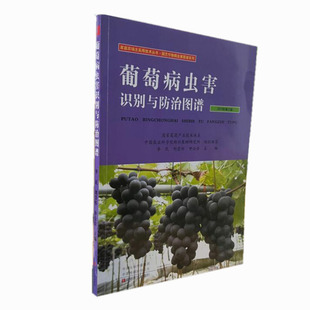 葡萄病虫害识别与防治图谱 李民 刘崇怀 申公安主编 葡萄病虫害防控技术 葡萄健康病虫害防控书