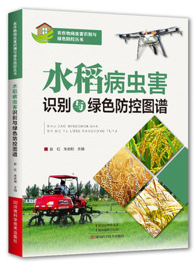 水稻病虫害识别与绿色防控图谱 彭红 水稻种植水稻栽培技术水稻病虫草害诊断防治图谱 农作物病虫害快速诊治 36种主要病虫害书籍