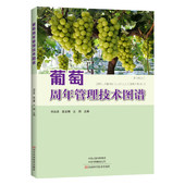 葡萄周年管理技术图谱 优质丰产葡萄品种葡萄育苗技术葡萄科学建园葡萄整形修剪病虫害防治果树种植