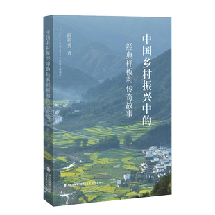 乡村改革案例书籍农村改革可持续发展农业经济示范 中国乡村振兴中 游祖勇著 样板和传奇故事 社会主义建设 经典