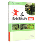 书籍 正版 农业种植 蔬菜病虫害诊治丛书 黄瓜病虫害诊治图谱