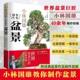 盆景制作书籍花卉树木山水附石盆景制作与养护技巧养花树木盆景造型设计栽培修剪技艺家庭园艺 小林国雄教你制作盆景 视频教学