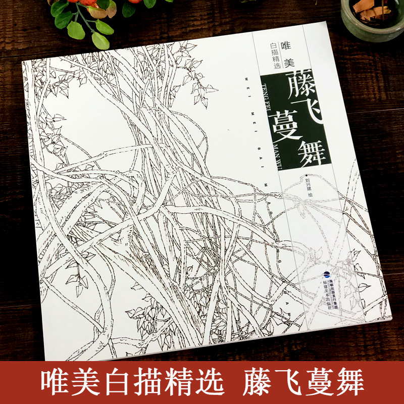 藤飞蔓舞 唯美白描精选 工笔画花卉技法白描底稿勾线稿毛笔画谱国画初学者临摹范本画册 刘兴建绘画教程书籍 中国现代花卉画作品集