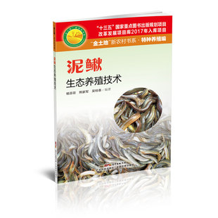 高效养鱼技术书鱼病快速诊断与防治鱼苗饲养建厂安全水产淡水鱼养殖技术书水产养殖苗水产养殖书 正版 泥鳅生态养殖技术 科学养鳅