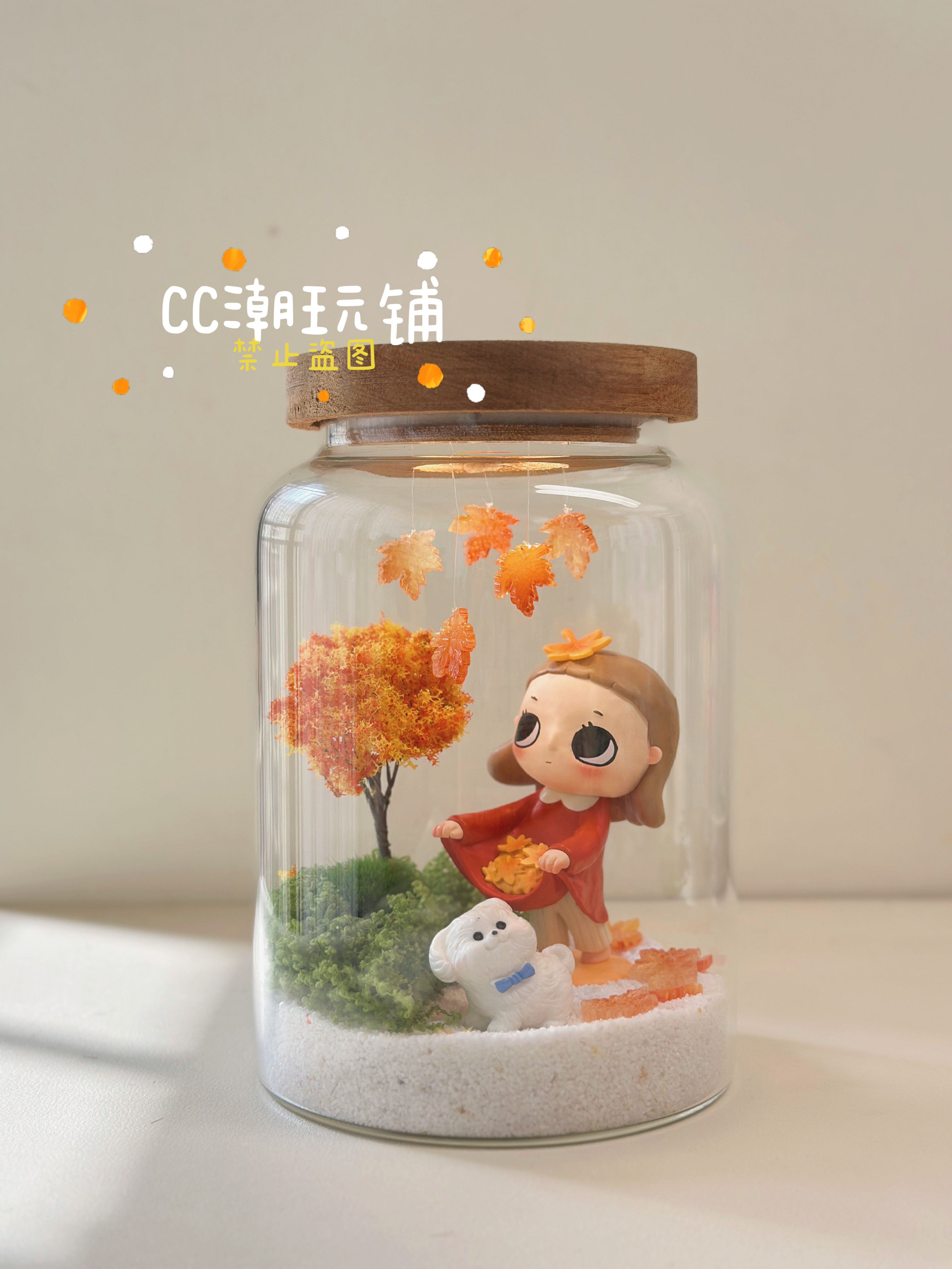 创意礼物nyota硕果星造景拍拍灯玻璃罐送女友送闺蜜diy成品摆件
