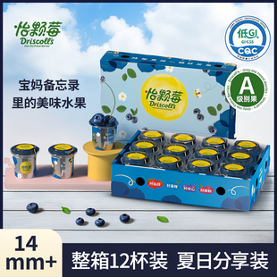 怡颗莓云南蓝莓小杯装礼盒装高端限量大蓝莓儿童孕妇宝宝辅食便携