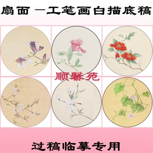 N44团扇花鸟圆形扇面工笔画白描底稿线描玉兰山茶桃花海棠牵牛花