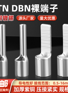 紫铜扁针型裸端头DBN PTN1.25 2 5.5鸭舌端子片型实心插针