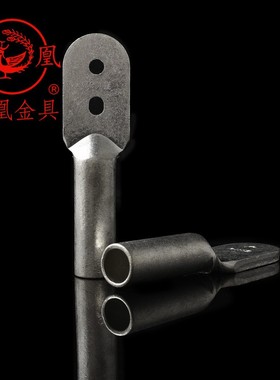 凤凰国标A级双孔镀锡铜接头DT-500MM2铜鼻子 双眼接线端子 一只