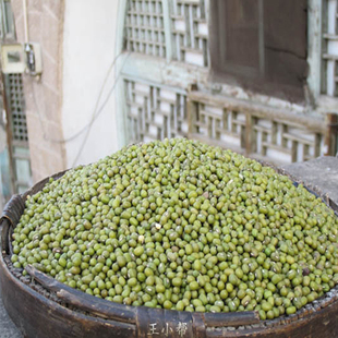 王小帮全谷物五谷杂粮 农家产自种笨绿豆发豆芽专用2025年新货