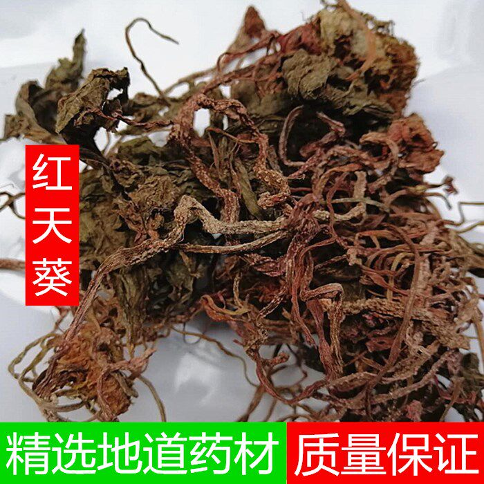 中药材红天葵 红天葵 紫背天葵草 红水葵 一点血 散血丹500克