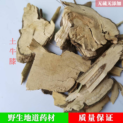 中药材蔡鼻草七筋苋科土牛膝