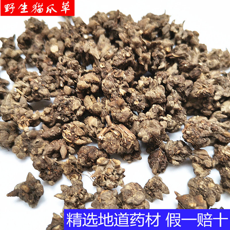 猫抓草水洗新鲜猫爪草小毛茛猫抓草野生500g包邮