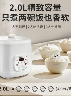 车载智能电饭煲12v24v