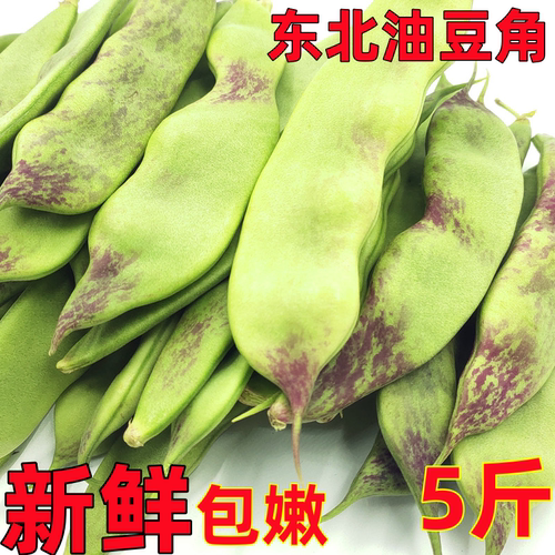 东北油豆角现摘新鲜大地豆角
