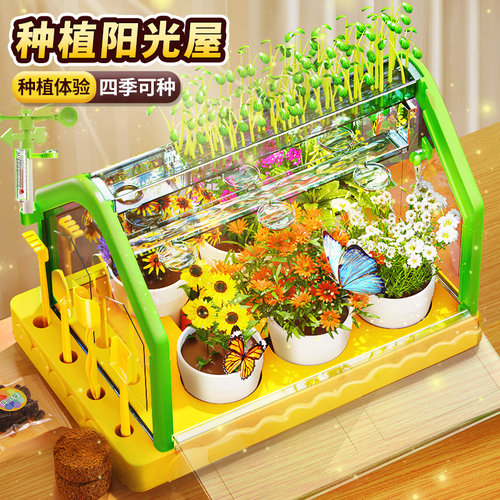 阳光种植房儿童科学小实验套装