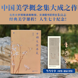 【正版书籍】中国美学要义 北京大学博雅讲席教授 文津图书奖得主朱良志 经典美学 课程 人生七十纪念 中国美学概念集大成之作