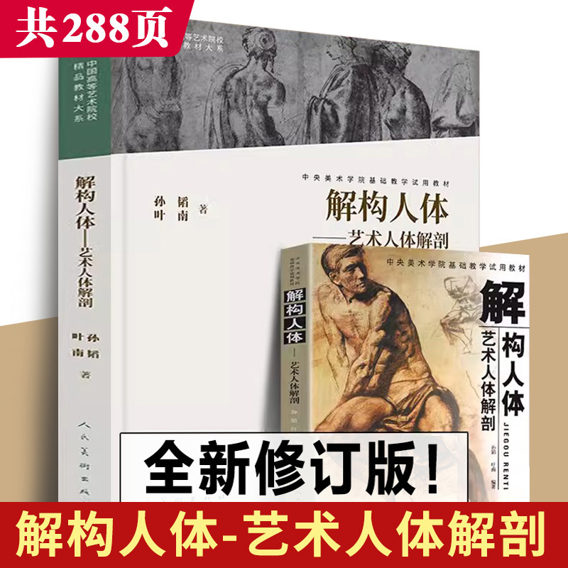版解构人体孙韬叶南艺术解剖素