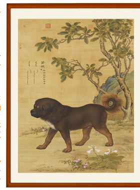 郎世宁十骏犬之苍猊犬