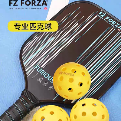 FZ FORZA FZ Ball Pickleball  6pcs 6颗/盒专业训练球室外室内球