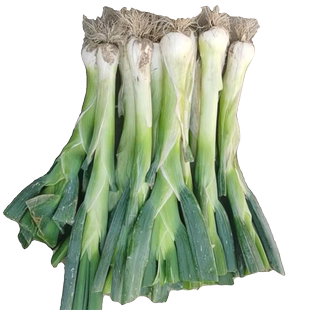 新鲜大葱鸡腿葱冬储大葱带叶子胜章丘大葱现挖甜蘸酱河北特产五斤