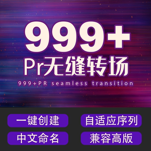 999+pr无缝转场预设合集中文插件一键安装模板lmbox凌萌盒果子坤