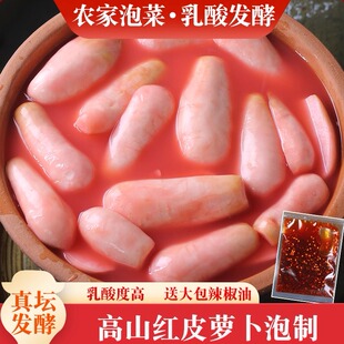 四川泡菜农家泡红皮萝卜胭脂酸辣萝卜自制商用炒鸡杂孕妇皆宜