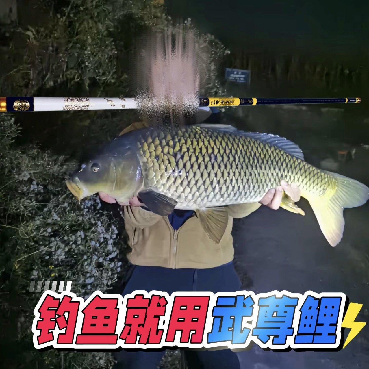新款武尊鲤鱼竿手杆台钓竿超轻硬19调6H碳素长节野钓湖库大综合竿,户外/登山/野营/旅行用品,台钓竿,淘宝优惠券,粉丝福利购,淘宝优惠卷