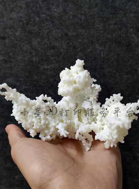 3D打印定制白色的Surface结构的膜蛋白模型