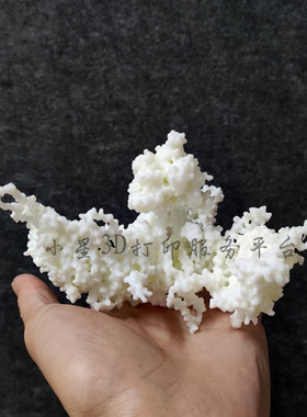 3D打印定制白色的Surface结构的膜蛋白模型