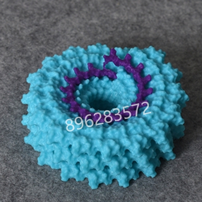 3D打印定制烟草花叶病毒（Tobacco mosaic virus, TMV）教学模型