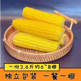 玉米新鲜糯玉米黄糯内蒙米知客香糯真空装包装袋香甜糯玉米 3.6斤