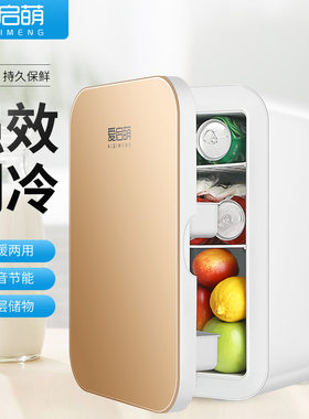 家用小冰箱20升迷你微型学生宿舍冰箱车家两用冷藏保鲜制热冷暖箱