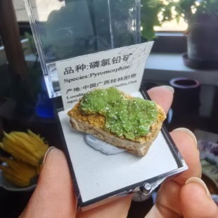 磷氯铅矿石天然矿物晶体标本盒子猫矿能量石晶宝石地质科普教学
