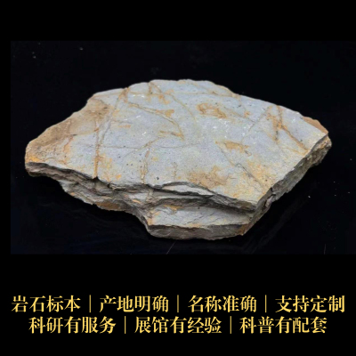 砂脉构造次生三大岩类样品标本矿物科研地质中小学博物馆科普教具