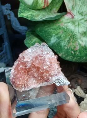 天然阿根廷粉水晶洞矿物晶体能量水晶原石原矿收藏标本摆件装