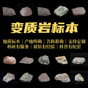 变质岩天然岩石标本定制矿石石头地质博物馆展品科学课小学校教具