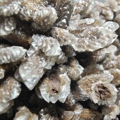 河北羽毛方解石针铁矿物晶体原石摆件矿石地质科普教学标本收藏矿