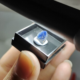 蓝宝石原石刚玉级山东昌乐天然矿物晶体标本猫矿地质标本科普