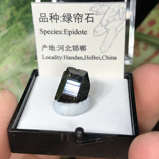 绿帘石符山铁矿天然矿物晶体标本盒子猫矿石能量宝石地质科普教学