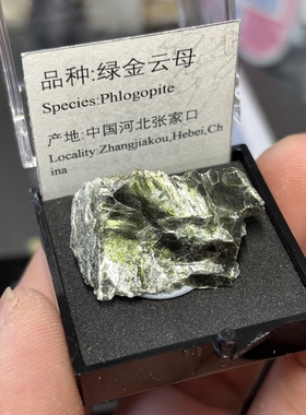 金绿云母原石天然矿物晶体标本猫矿石能量石晶宝石地质科普教学