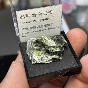 金绿云母原石天然矿物晶体标本猫矿石能量石晶宝石地质科普教学