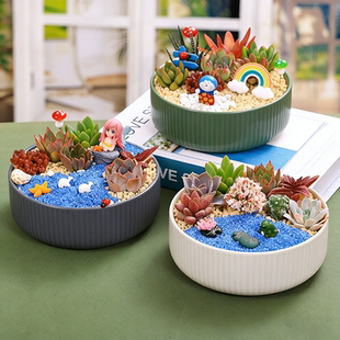 陶瓷花盆多肉DIY微景观材料包多肉植物组合盆栽套餐公司社团活动