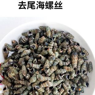 3斤去尾免处理鲜活新鲜发货海锥螺海抽海瓜子钉螺麻辣海嘴嘴海螺