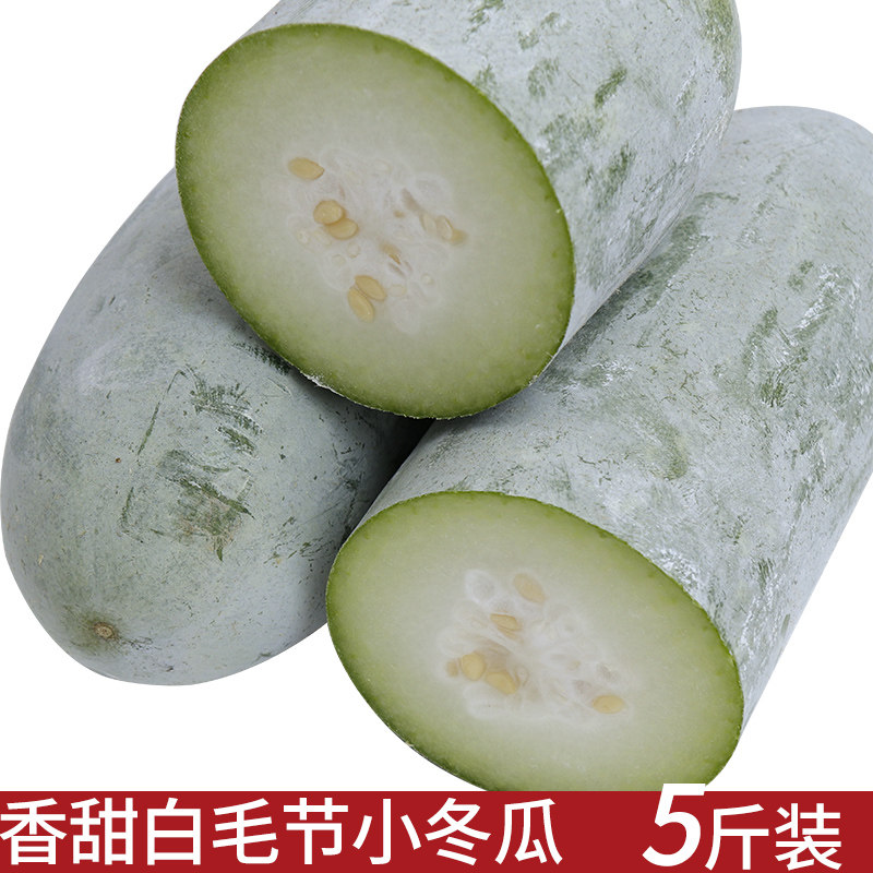 漳州新鲜小冬瓜现摘迷你白毛节瓜农家种植当季时令蔬菜香冬瓜高山