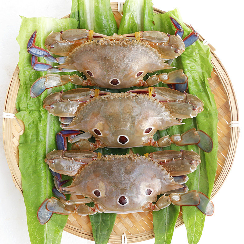 2斤装三目蟹大速冻海鲜海捕生腌三点蟹梭子蟹青蟹肉蟹公母螃蠏