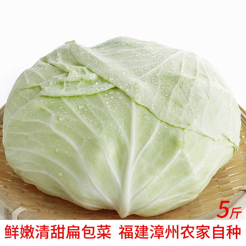 福建露天扁包菜扁平包包菜新鲜蔬菜福建高丽菜莲花白卷心菜平包菜