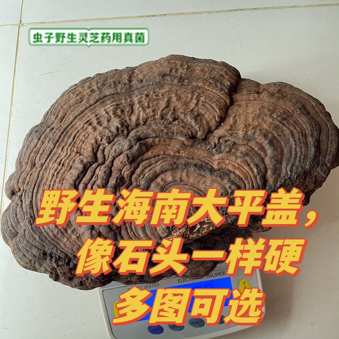野生特大平盖海南平盖南方树舌重手整个卖灵芝摆件药用多图可选,传统滋补营养品,整枝灵芝,淘宝优惠券,粉丝福利购,淘宝优惠卷